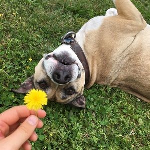 Meet your Posher, Bea